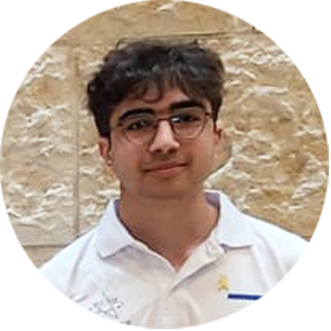 yogev-cohen-mendeleev-olympiad-2024