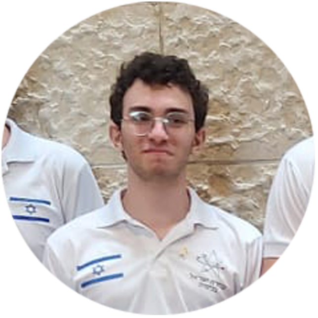 yonathan-gontmakher-mendeleev-olympiad-2024